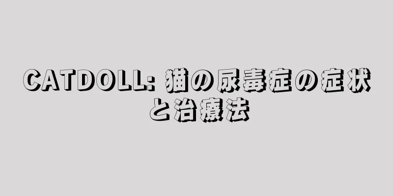 CATDOLL: 猫の尿毒症の症状と治療法