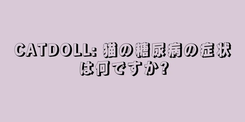 CATDOLL: 猫の糖尿病の症状は何ですか?