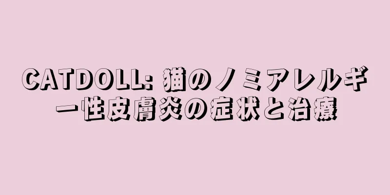 CATDOLL: 猫のノミアレルギー性皮膚炎の症状と治療