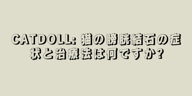 CATDOLL: 猫の膀胱結石の症状と治療法は何ですか?