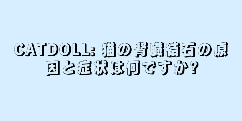 CATDOLL: 猫の腎臓結石の原因と症状は何ですか?