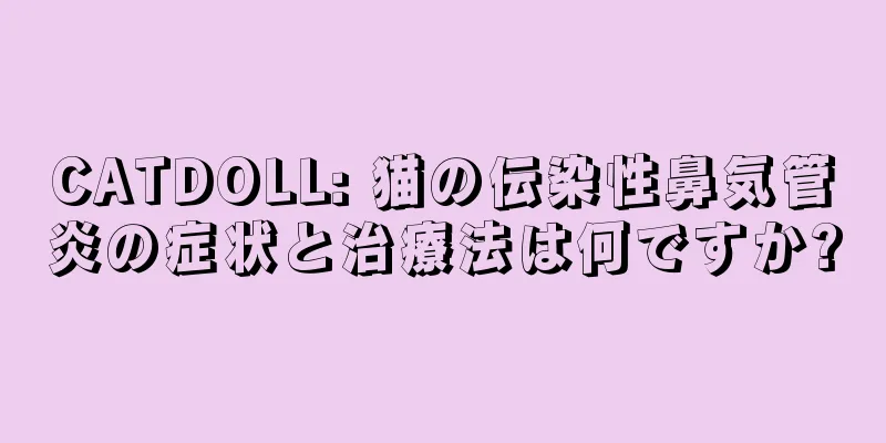 CATDOLL: 猫の伝染性鼻気管炎の症状と治療法は何ですか?