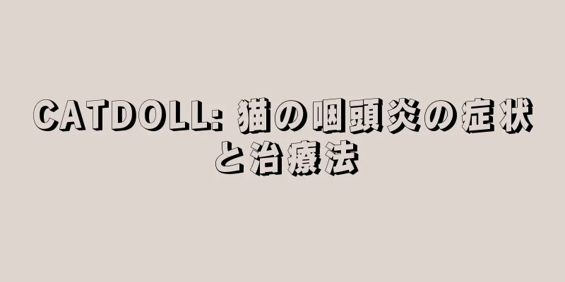 CATDOLL: 猫の咽頭炎の症状と治療法