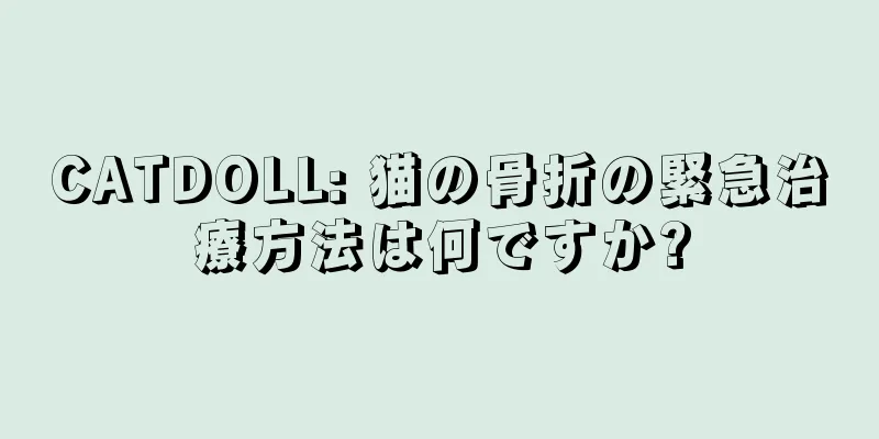 CATDOLL: 猫の骨折の緊急治療方法は何ですか?