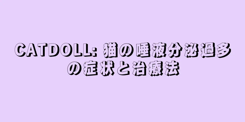 CATDOLL: 猫の唾液分泌過多の症状と治療法