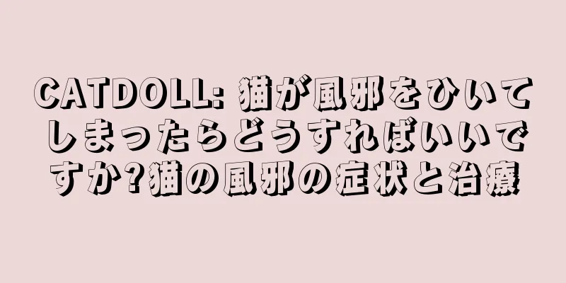 CATDOLL: 猫が風邪をひいてしまったらどうすればいいですか?猫の風邪の症状と治療