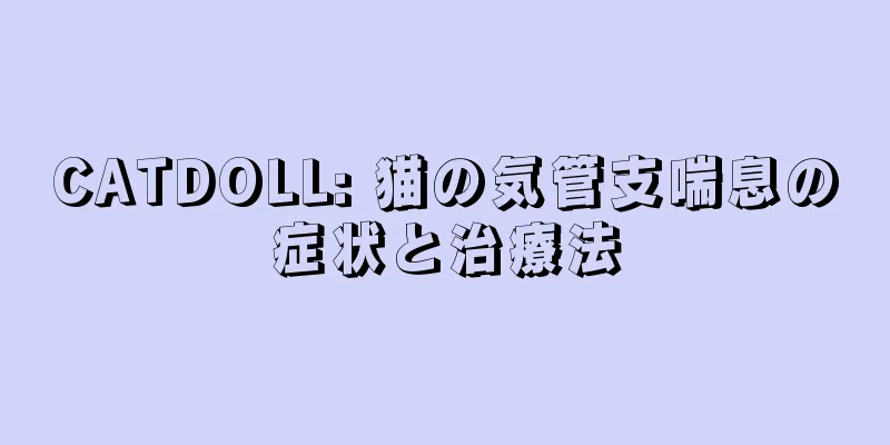 CATDOLL: 猫の気管支喘息の症状と治療法