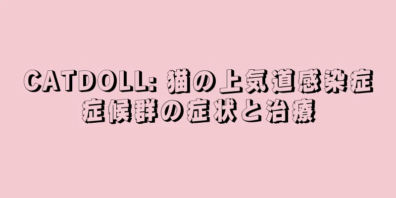 CATDOLL: 猫の上気道感染症症候群の症状と治療