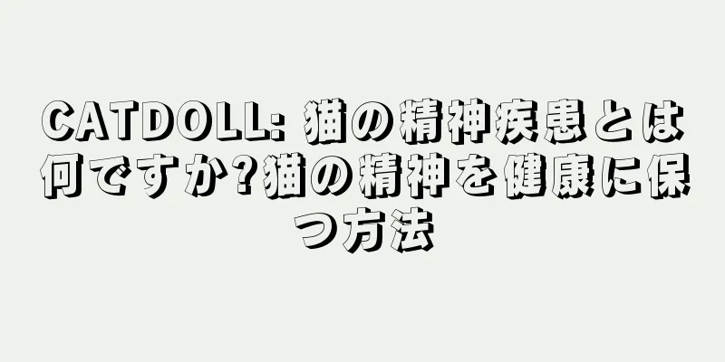 CATDOLL: 猫の精神疾患とは何ですか?猫の精神を健康に保つ方法