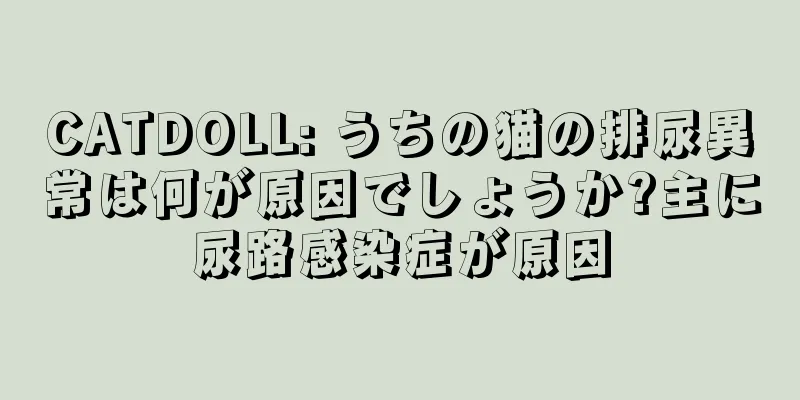 CATDOLL: うちの猫の排尿異常は何が原因でしょうか?主に尿路感染症が原因