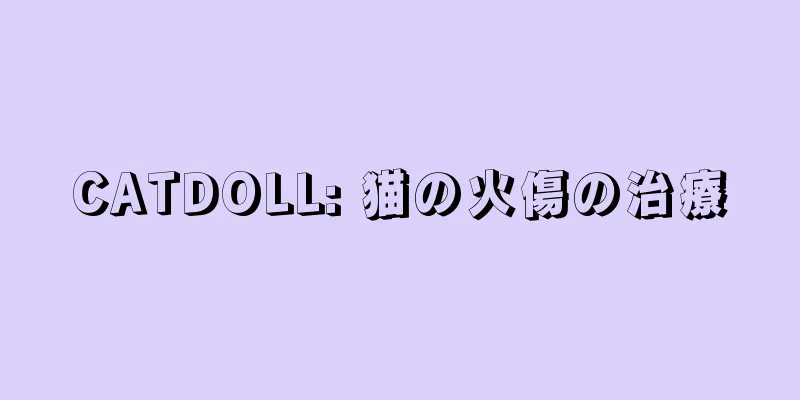 CATDOLL: 猫の火傷の治療