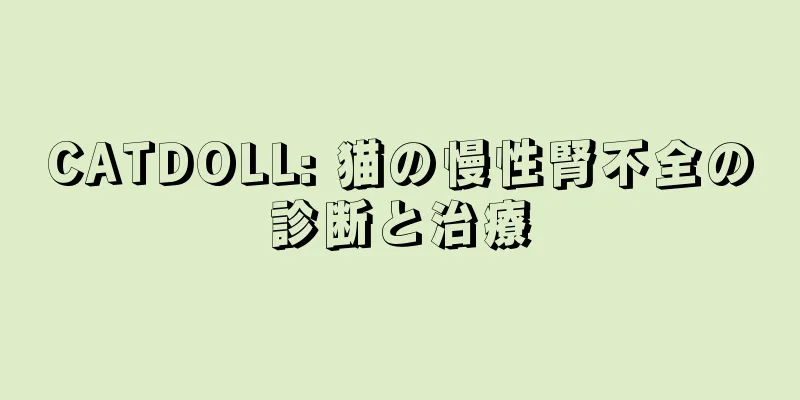 CATDOLL: 猫の慢性腎不全の診断と治療