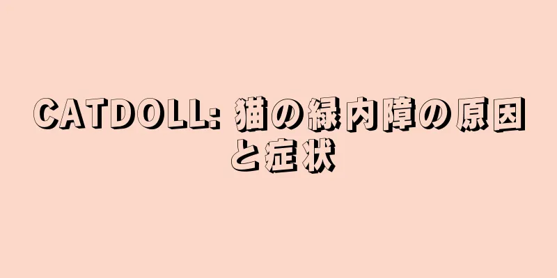 CATDOLL: 猫の緑内障の原因と症状