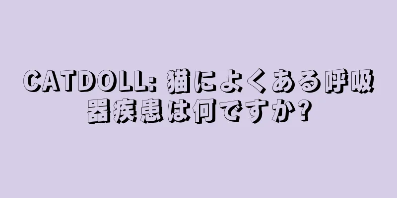 CATDOLL: 猫によくある呼吸器疾患は何ですか?