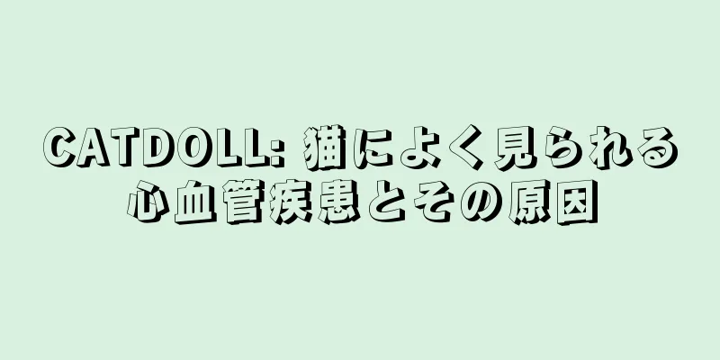 CATDOLL: 猫によく見られる心血管疾患とその原因