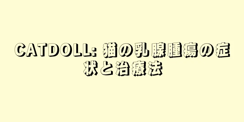CATDOLL: 猫の乳腺腫瘍の症状と治療法