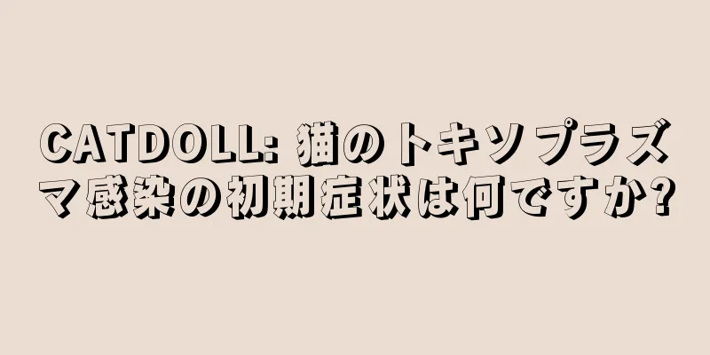 CATDOLL: 猫のトキソプラズマ感染の初期症状は何ですか?
