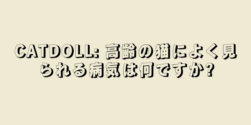 CATDOLL: 高齢の猫によく見られる病気は何ですか?