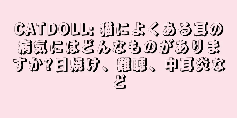 CATDOLL: 猫によくある耳の病気にはどんなものがありますか?日焼け、難聴、中耳炎など