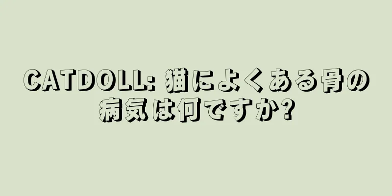CATDOLL: 猫によくある骨の病気は何ですか?