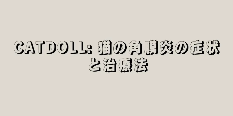 CATDOLL: 猫の角膜炎の症状と治療法