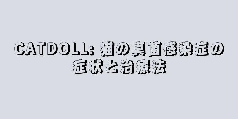 CATDOLL: 猫の真菌感染症の症状と治療法