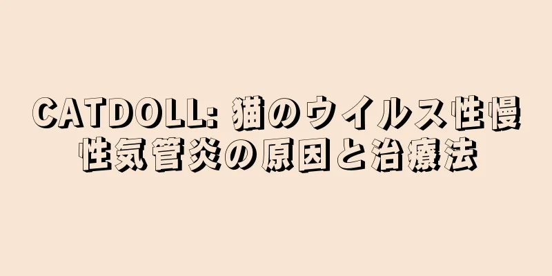 CATDOLL: 猫のウイルス性慢性気管炎の原因と治療法