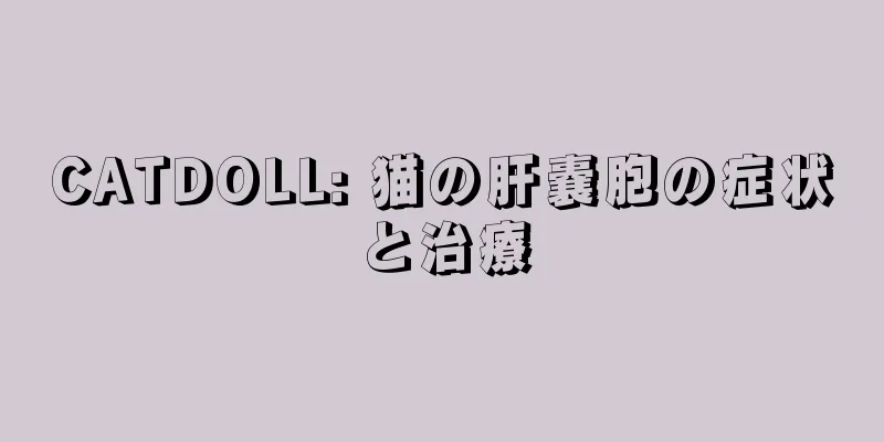 CATDOLL: 猫の肝嚢胞の症状と治療