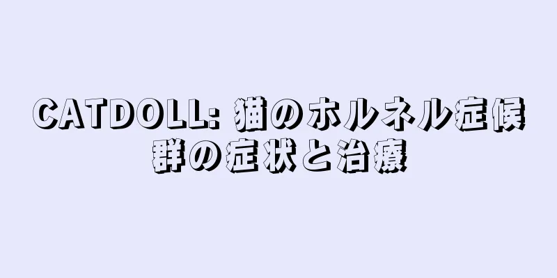 CATDOLL: 猫のホルネル症候群の症状と治療