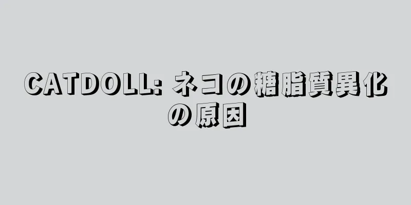 CATDOLL: ネコの糖脂質異化の原因