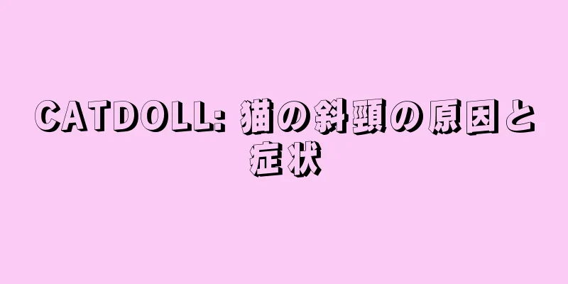 CATDOLL: 猫の斜頸の原因と症状