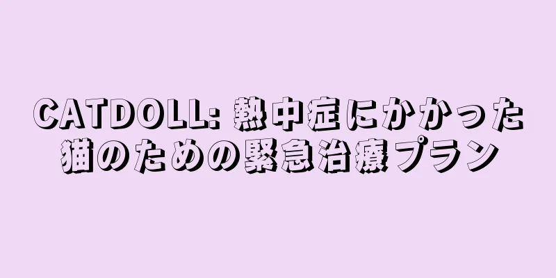 CATDOLL: 熱中症にかかった猫のための緊急治療プラン