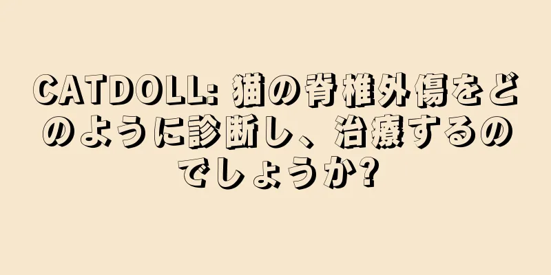 CATDOLL: 猫の脊椎外傷をどのように診断し、治療するのでしょうか?