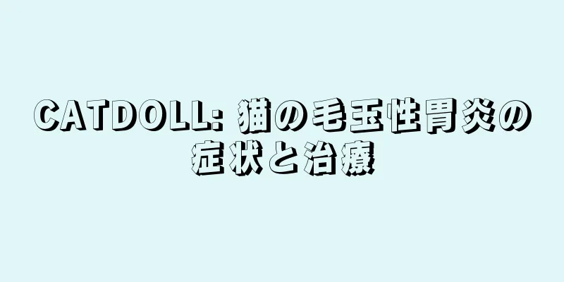 CATDOLL: 猫の毛玉性胃炎の症状と治療