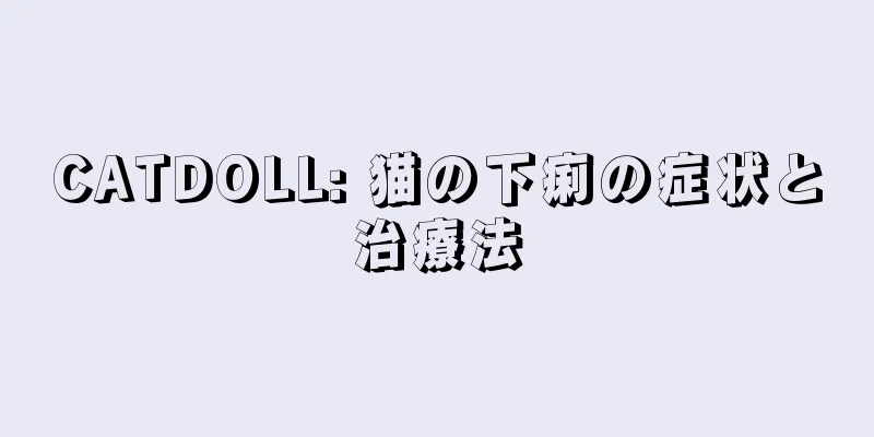 CATDOLL: 猫の下痢の症状と治療法