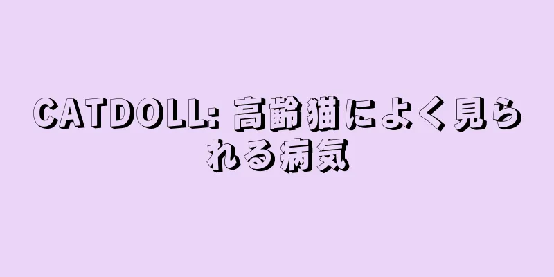 CATDOLL: 高齢猫によく見られる病気