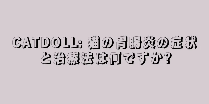 CATDOLL: 猫の胃腸炎の症状と治療法は何ですか?