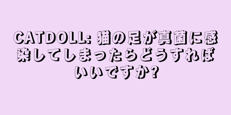 CATDOLL: 猫の足が真菌に感染してしまったらどうすればいいですか?