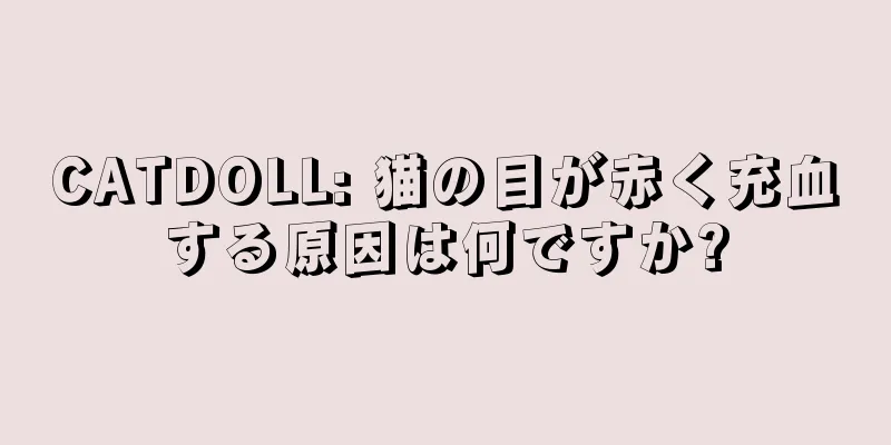CATDOLL: 猫の目が赤く充血する原因は何ですか?