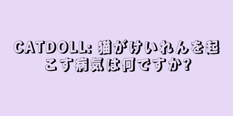 CATDOLL: 猫がけいれんを起こす病気は何ですか?