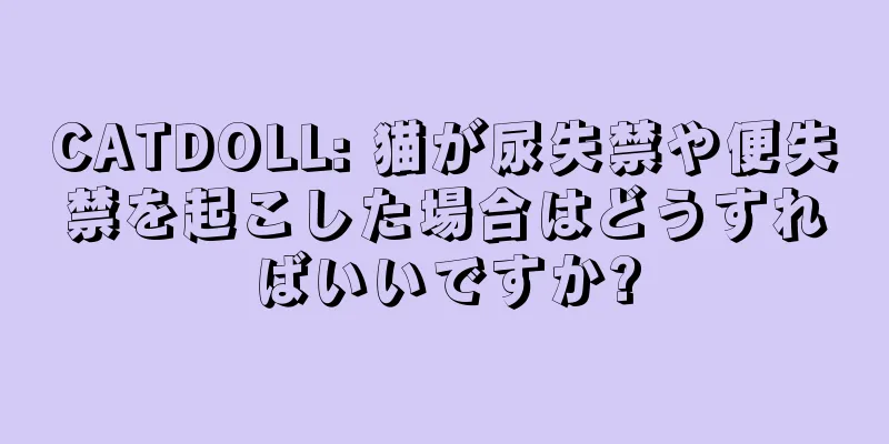 CATDOLL: 猫が尿失禁や便失禁を起こした場合はどうすればいいですか?