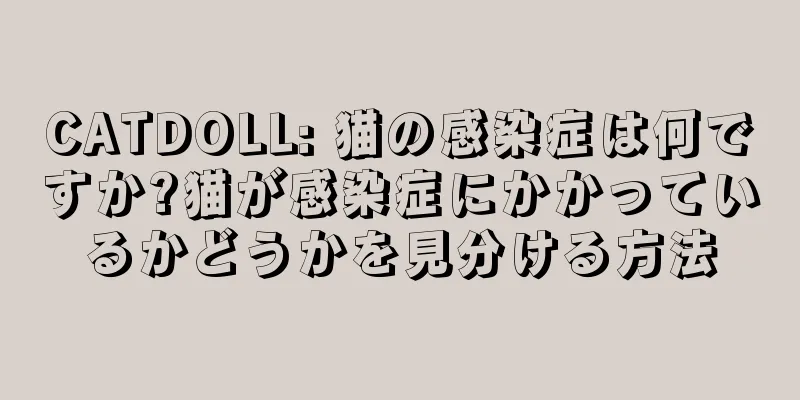 CATDOLL: 猫の感染症は何ですか?猫が感染症にかかっているかどうかを見分ける方法