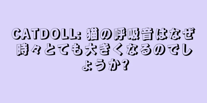 CATDOLL: 猫の呼吸音はなぜ時々とても大きくなるのでしょうか?