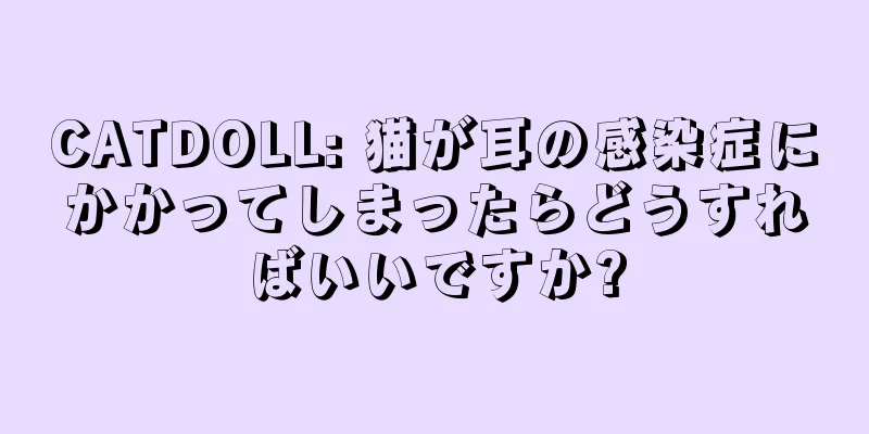 CATDOLL: 猫が耳の感染症にかかってしまったらどうすればいいですか?