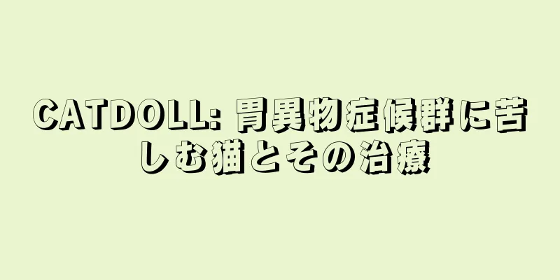 CATDOLL: 胃異物症候群に苦しむ猫とその治療