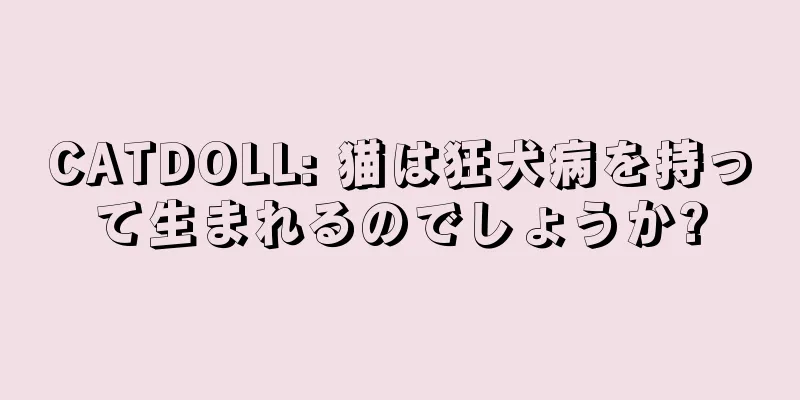 CATDOLL: 猫は狂犬病を持って生まれるのでしょうか?