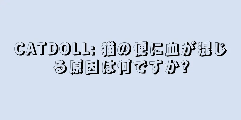 CATDOLL: 猫の便に血が混じる原因は何ですか?