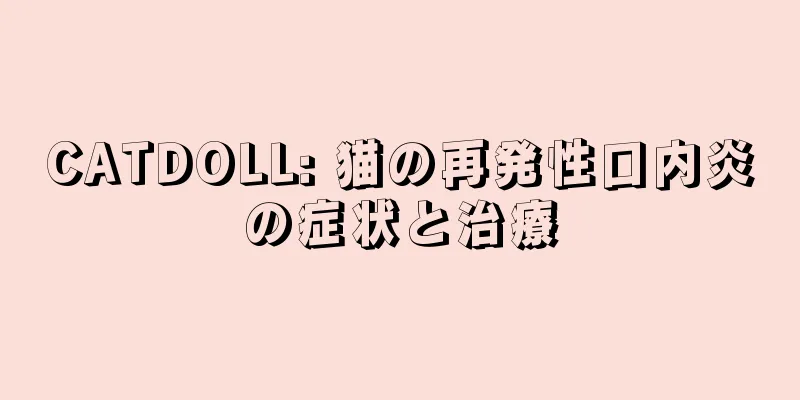 CATDOLL: 猫の再発性口内炎の症状と治療