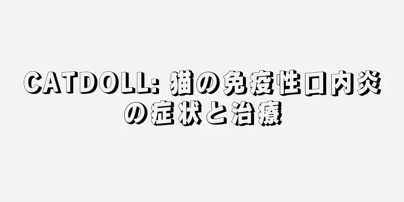 CATDOLL: 猫の免疫性口内炎の症状と治療