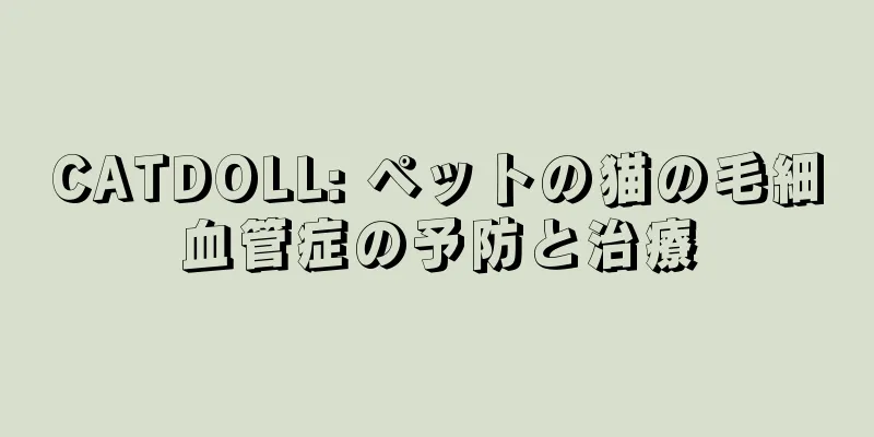 CATDOLL: ペットの猫の毛細血管症の予防と治療